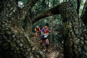 BIB: 
                            <button type="button" onclick="openModal(25391909)" class="btn btn-primary btn-sm float-right btn-popup" data-toggle="modal" data-target=".modal-high-quality">
                        <i class="fas fa-shopping-cart"></i> Add to Cart
                    </button>
                                            <button type="button" onclick="isThisMe(25391909, true)" class="btn btn-success btn-sm float-right btn-popup btn-isme hidden" data-toggle="tooltip" data-placement="bottom" title="นี่คือรูปของคุณใช่ไหม คลิกที่นี่เพื่อเอาเข้าอัลบั้ม">
                        <i class="fas fa-plus"></i> Add to album
                    </button>
                    <button type="button" onclick="isThisMe(25391909, false)" class="btn btn-warning btn-sm float-right btn-popup btn-isnotme hidden">
                        <i class="fas fa-ban"></i> Remove from album
                    </button>